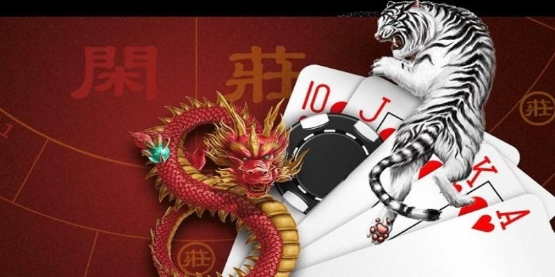 Kết quả phân tích & thống kê Rồng Hổ Kuwin